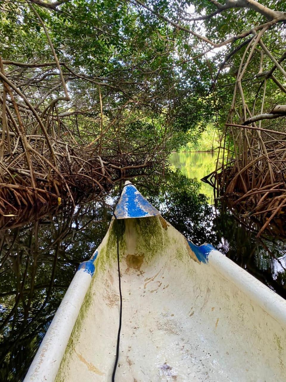 Eco Hotel Bosque Encantado Isla Grande  Eksteriør bilde