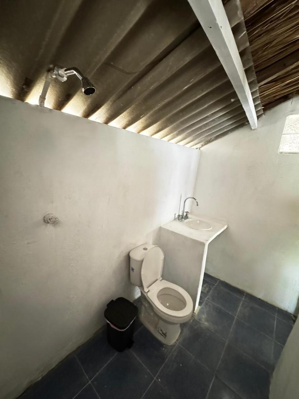 Eco Hotel Bosque Encantado Isla Grande  Eksteriør bilde
